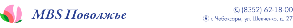 Логотип компании MBS Поволжье