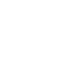 Логотип компании Тимерград