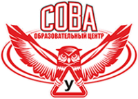 Логотип компании Сова