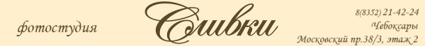 Логотип компании Сливки