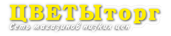 Логотип компании ЦВЕТЫторг