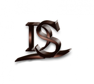 Логотип компании ДС Строй
